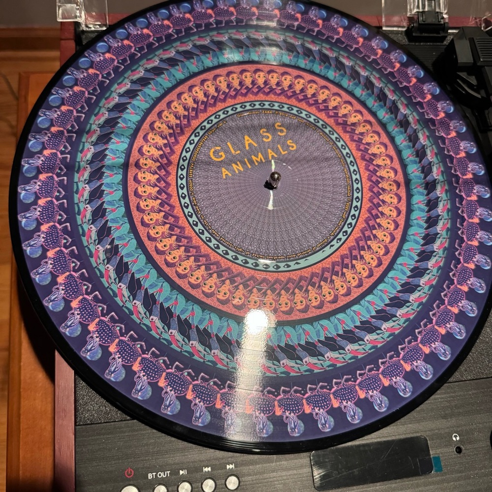 Zaba Zoetrope Vinyl Glass Animals - Picture 9 of 10